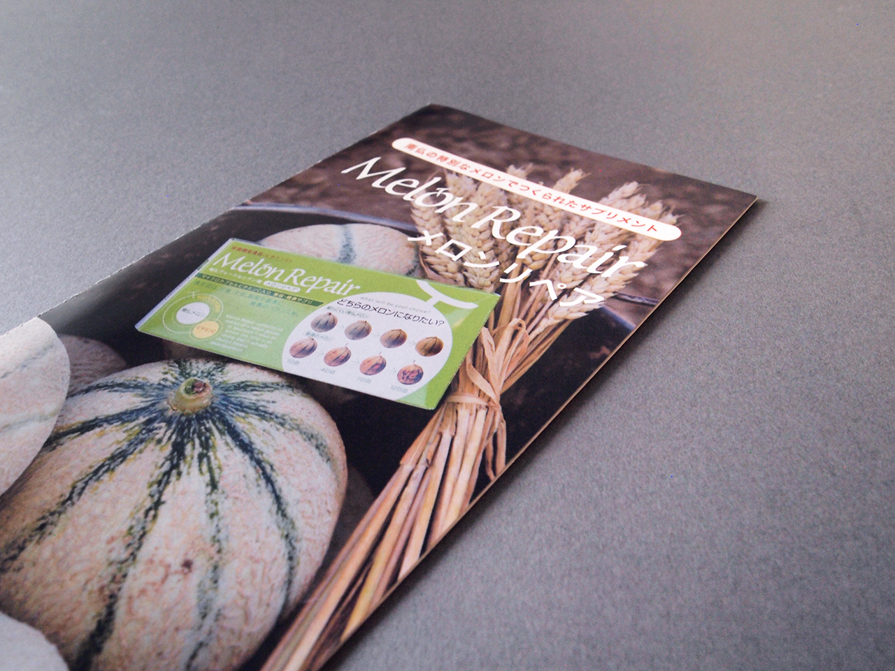 ネオサルディナ ドロップスのリーフレット