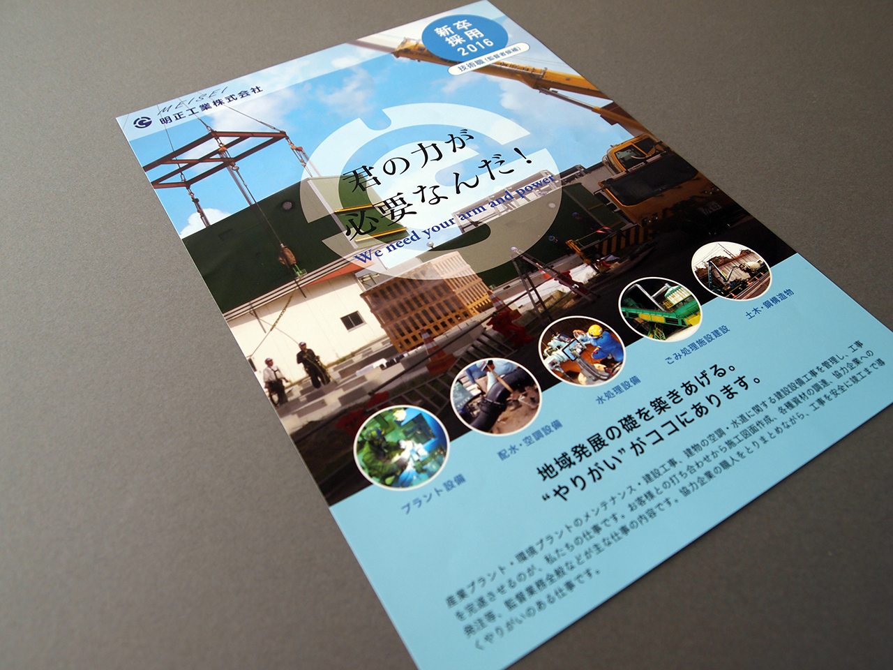 ネオサルディナ ドロップスのリーフレット