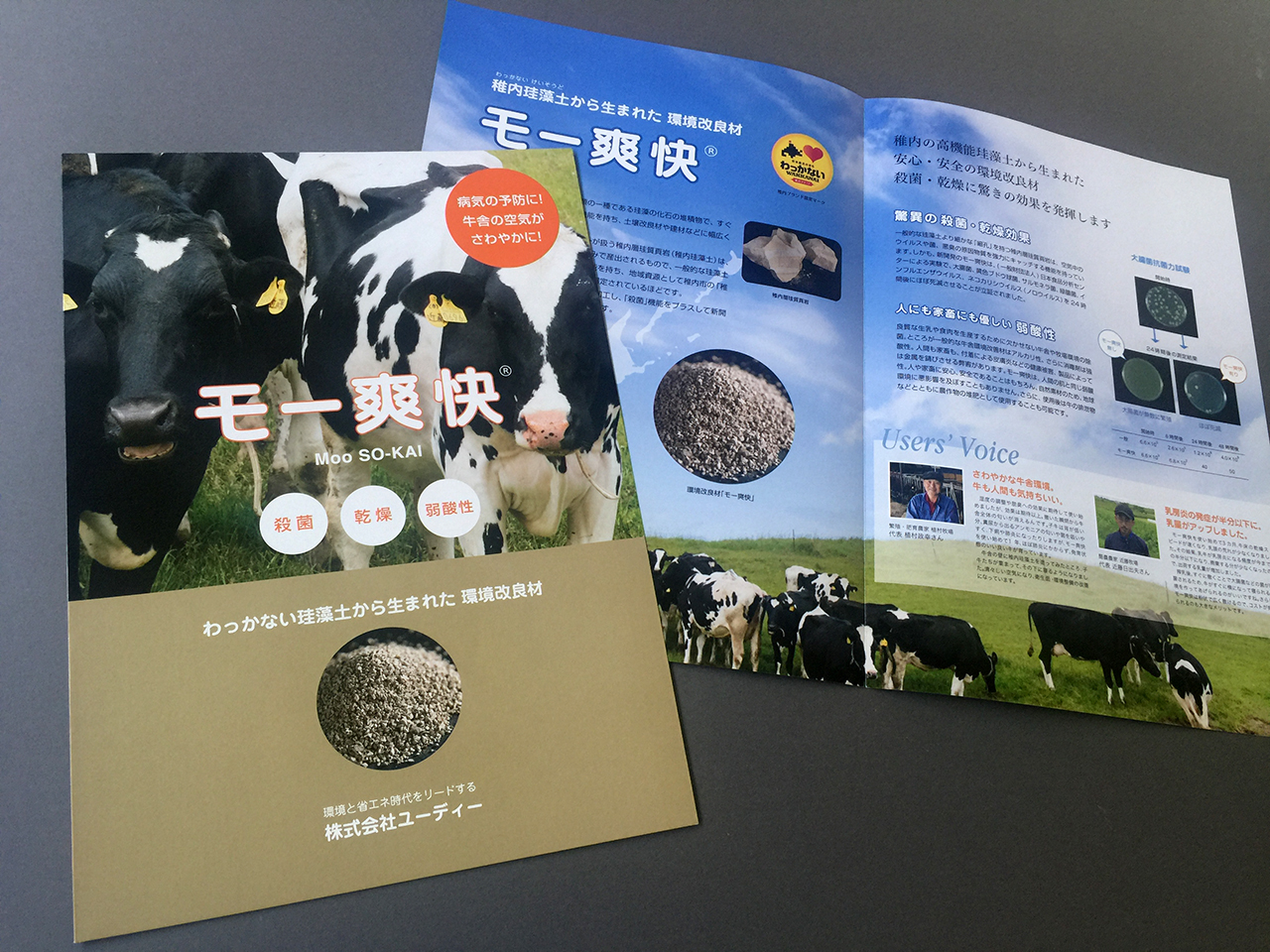 ネオサルディナ ドロップスのリーフレット