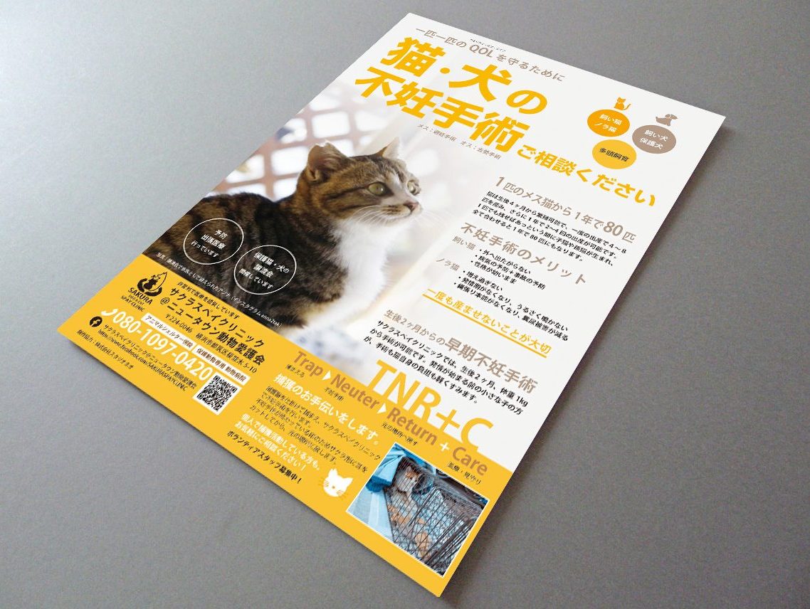 ネオティガソンリーフレット